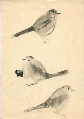 Курдов Валентин Иванович. Птицы. Иллюстрация к книге В. Бианки «Лесная газета»